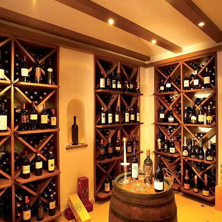 酒店 阿尔明酒店